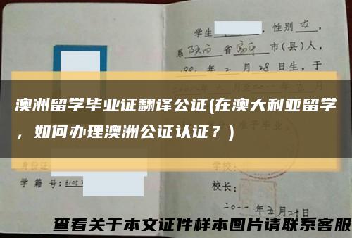 澳洲留学毕业证翻译公证(在澳大利亚留学，如何办理澳洲公证认证？)缩略图