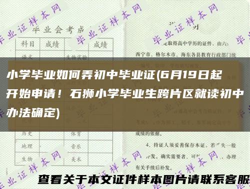 小学毕业如何弄初中毕业证(6月19日起开始申请！石狮小学毕业生跨片区就读初中办法确定)缩略图