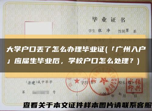 大学户口丢了怎么办理毕业证(「广州入户」应届生毕业后，学校户口怎么处理？)缩略图