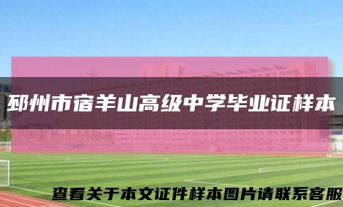 邳州市宿羊山高级中学毕业证样本缩略图