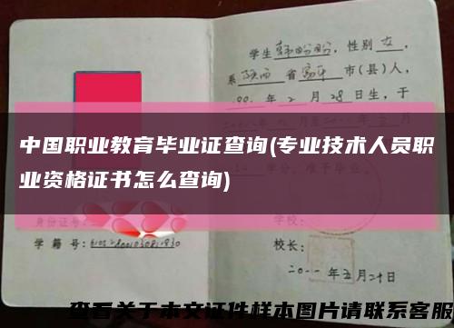 中国职业教育毕业证查询(专业技术人员职业资格证书怎么查询)缩略图