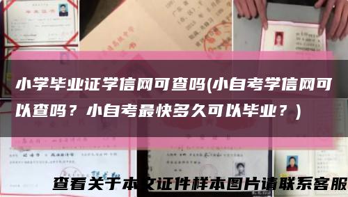 小学毕业证学信网可查吗(小自考学信网可以查吗？小自考最快多久可以毕业？)缩略图