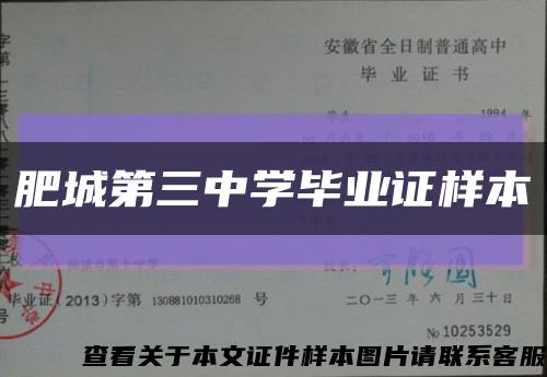 肥城第三中学毕业证样本缩略图