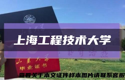 上海工程技术大学缩略图