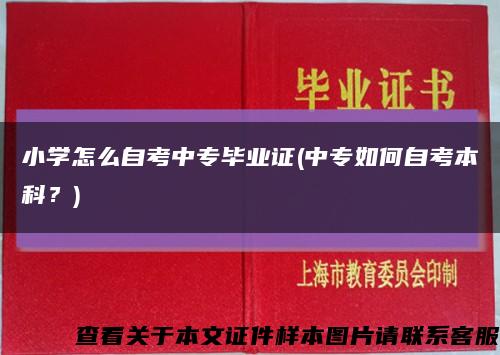 小学怎么自考中专毕业证(中专如何自考本科？)缩略图