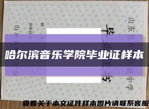 哈尔滨音乐学院毕业证样本缩略图