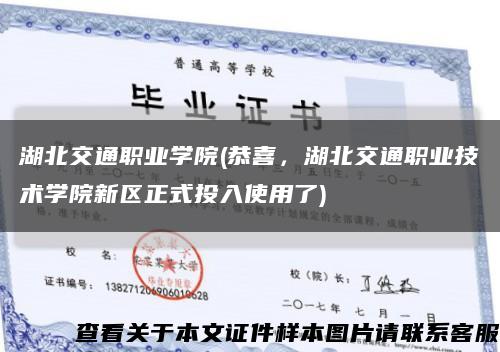 湖北交通职业学院(恭喜，湖北交通职业技术学院新区正式投入使用了)缩略图