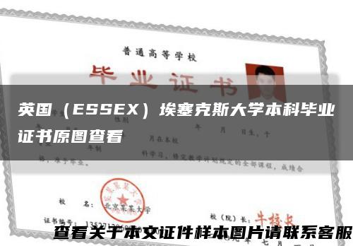 英国（ESSEX）埃塞克斯大学本科毕业证书原图查看缩略图