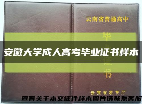 安徽大学成人高考毕业证书样本缩略图