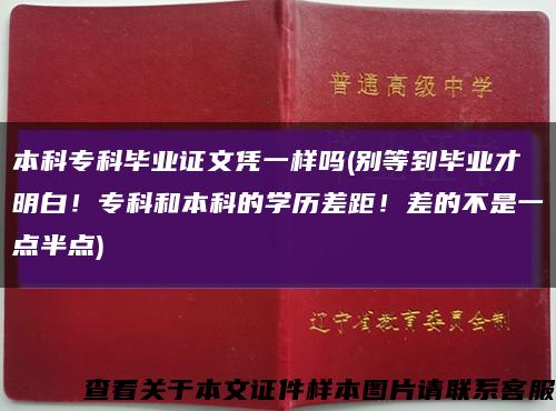 本科专科毕业证文凭一样吗(别等到毕业才明白！专科和本科的学历差距！差的不是一点半点)缩略图