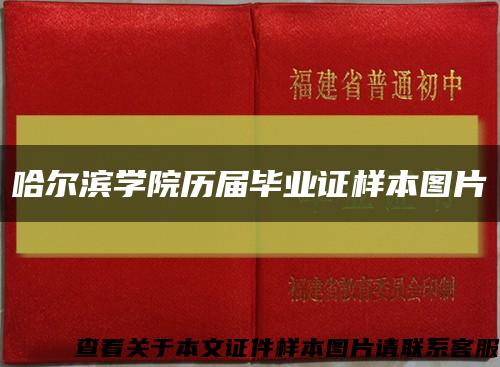 哈尔滨学院历届毕业证样本图片缩略图