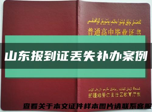 山东报到证丢失补办案例缩略图