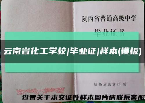 云南省化工学校|毕业证|样本(模板)缩略图