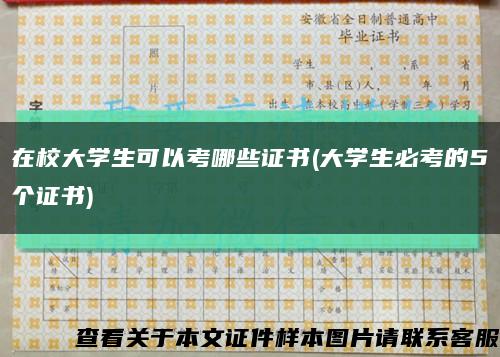 在校大学生可以考哪些证书(大学生必考的5个证书)缩略图