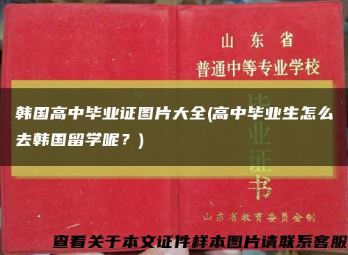 韩国高中毕业证图片大全(高中毕业生怎么去韩国留学呢？)缩略图