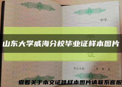 山东大学威海分校毕业证样本图片缩略图