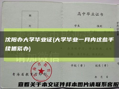 沈阳办大学毕业证(大学毕业一月内这些手续抓紧办)缩略图