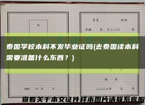 泰国学校本科不发毕业证吗(去泰国读本科需要准备什么东西？)缩略图