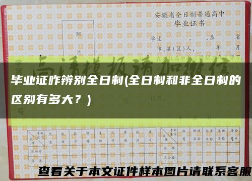 毕业证咋辨别全日制(全日制和非全日制的区别有多大？)缩略图