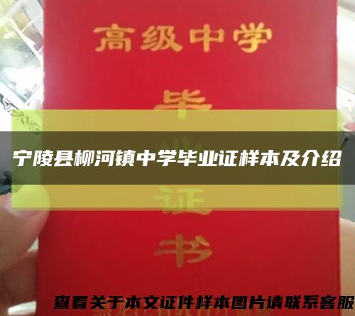 宁陵县柳河镇中学毕业证样本及介绍缩略图