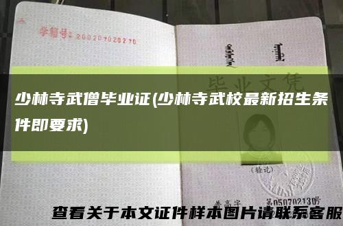 少林寺武僧毕业证(少林寺武校最新招生条件即要求)缩略图