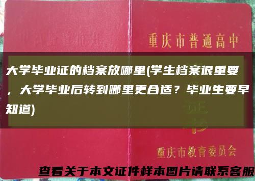 大学毕业证的档案放哪里(学生档案很重要，大学毕业后转到哪里更合适？毕业生要早知道)缩略图