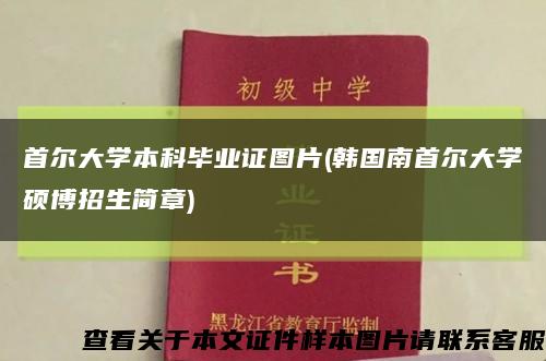 首尔大学本科毕业证图片(韩国南首尔大学硕博招生简章)缩略图