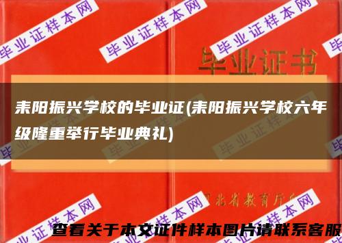 耒阳振兴学校的毕业证(耒阳振兴学校六年级隆重举行毕业典礼)缩略图