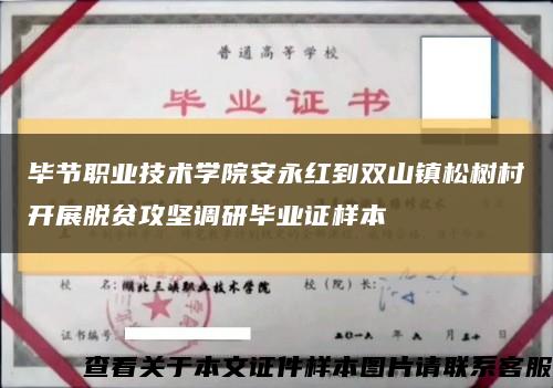 毕节职业技术学院安永红到双山镇松树村开展脱贫攻坚调研毕业证样本缩略图