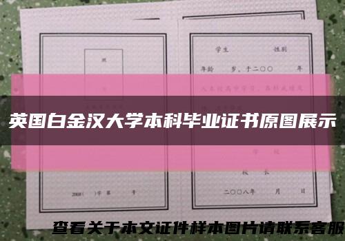 英国白金汉大学本科毕业证书原图展示缩略图