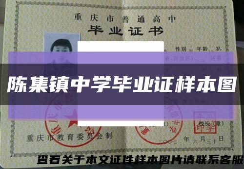 陈集镇中学毕业证样本图缩略图