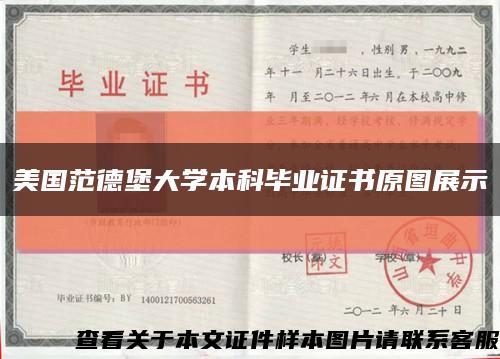 美国范德堡大学本科毕业证书原图展示缩略图