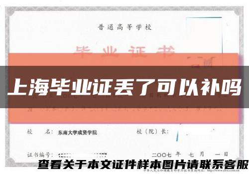 上海毕业证丢了可以补吗缩略图