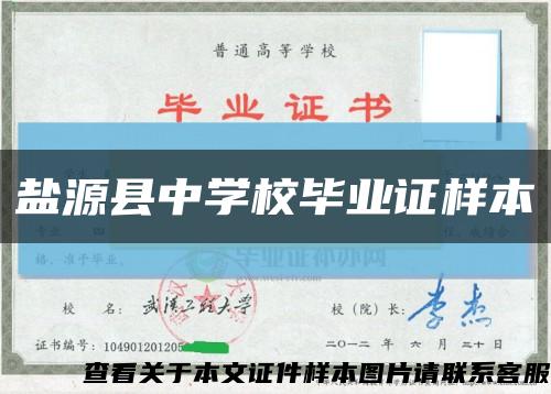 盐源县中学校毕业证样本缩略图