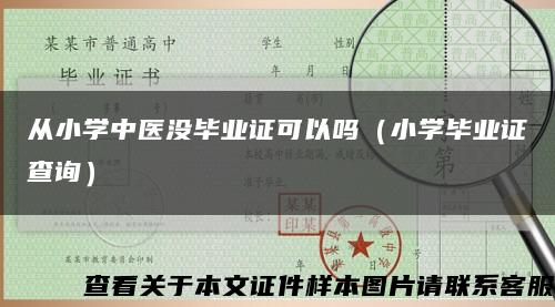 从小学中医没毕业证可以吗（小学毕业证查询）缩略图