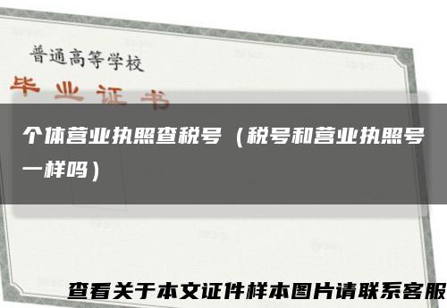 个体营业执照查税号（税号和营业执照号一样吗）缩略图