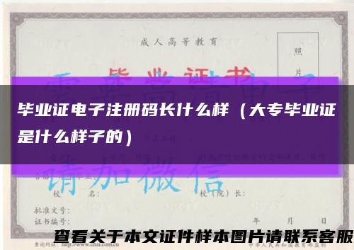 毕业证电子注册码长什么样（大专毕业证是什么样子的）缩略图