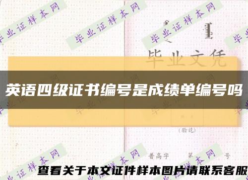 英语四级证书编号是成绩单编号吗缩略图