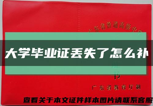 大学毕业证丢失了怎么补缩略图