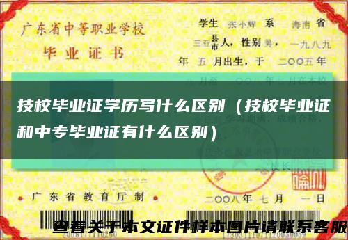 技校毕业证学历写什么区别（技校毕业证和中专毕业证有什么区别）缩略图