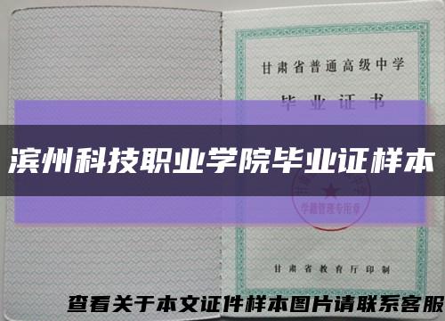 滨州科技职业学院毕业证样本缩略图