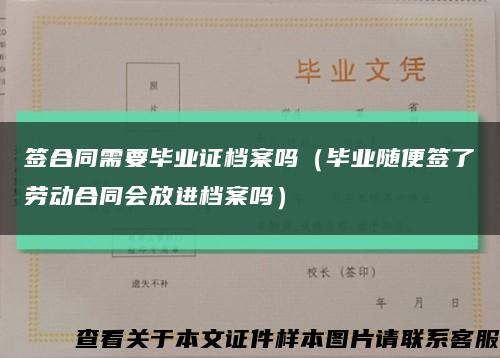 签合同需要毕业证档案吗（毕业随便签了劳动合同会放进档案吗）缩略图