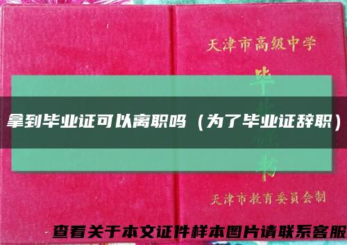 拿到毕业证可以离职吗（为了毕业证辞职）缩略图