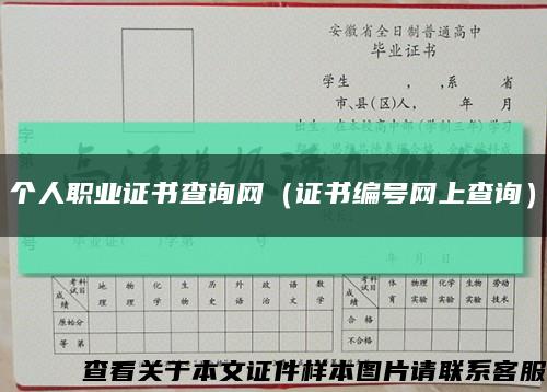 个人职业证书查询网（证书编号网上查询）缩略图