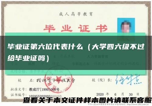 毕业证第六位代表什么（大学四六级不过给毕业证吗）缩略图