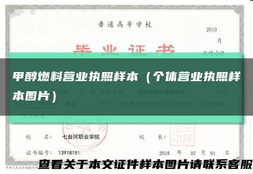 甲醇燃料营业执照样本（个体营业执照样本图片）缩略图