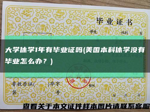 大学休学1年有毕业证吗(美国本科休学没有毕业怎么办？)缩略图