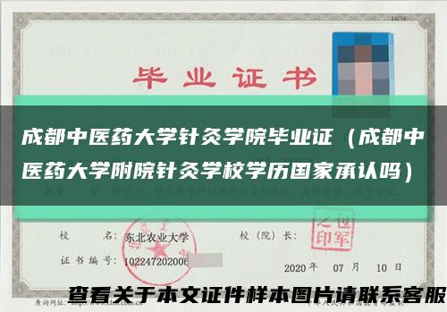 成都中医药大学针灸学院毕业证（成都中医药大学附院针灸学校学历国家承认吗）缩略图