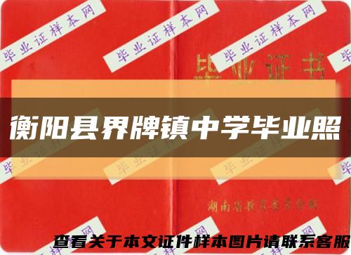 衡阳县界牌镇中学毕业照缩略图