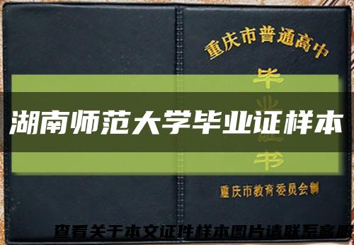 湖南师范大学毕业证样本缩略图